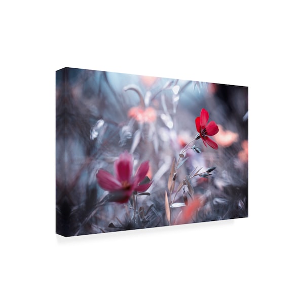 Fabien Bravin 'Une Fleur Une Histoire' Canvas Art,12x19